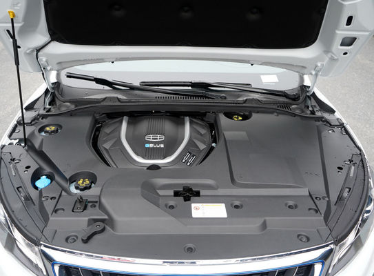 Compacte Elektrische Auto 421KM 4 Deuren 5 van Dihao Geely Zetels het Snelle Laden