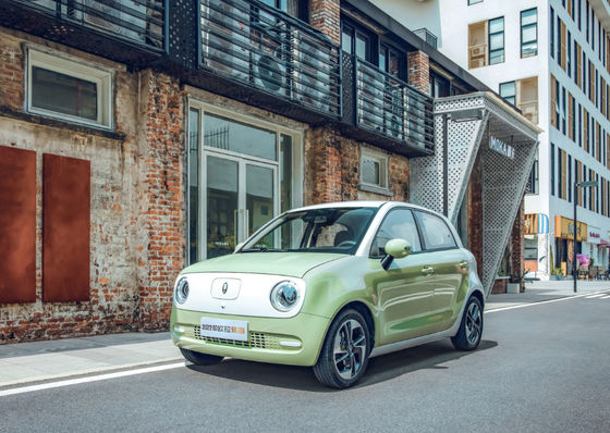 301405KM de Grote Grote Muur ORA Zwarte Cat Ev Battery LFP van de Muurmotor EV