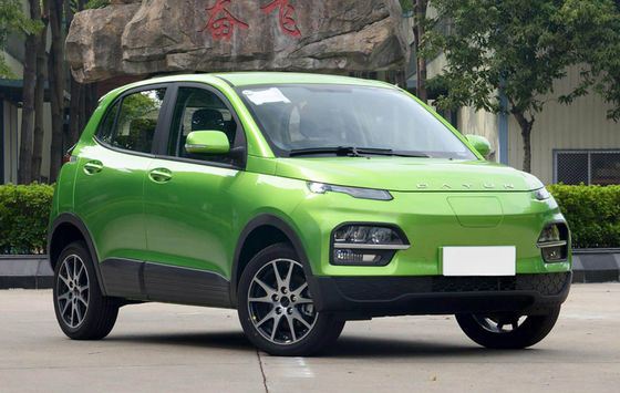 Kleine SUV EV de Auto's 2022 300KM Zuivere Elektrische 5 Deuren van Dayunyuehu 5 Zetels