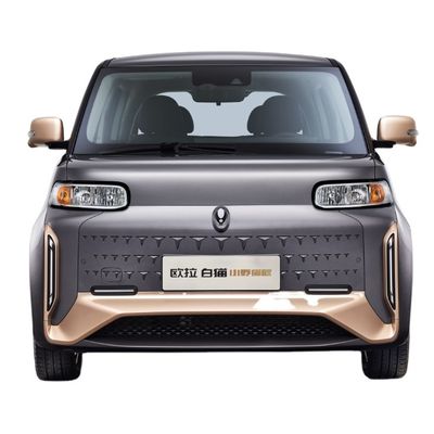 ORA Witte Cat Great Wall Motor EV 305401KM Zuivere Elektrisch met 5 Deuren 4 Zetels