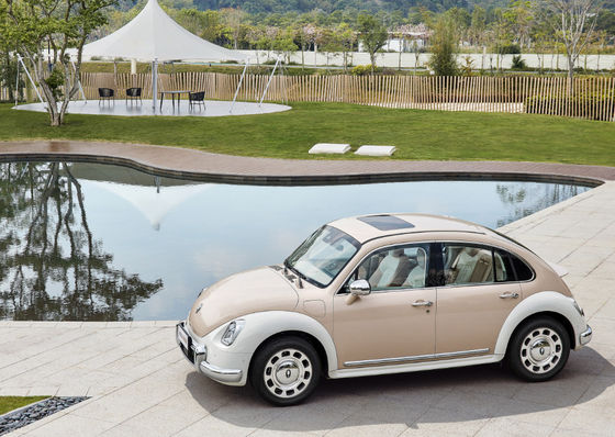 401500KM het Grote Ballet Cat Car van de Muurmotor EV ORA 5 Deuren 5 Zetels