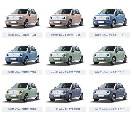 301KM405KM GW ORA Zwarte Cat Electric Vehicle 5 Deuren 4 Zetelsbatterij LFP