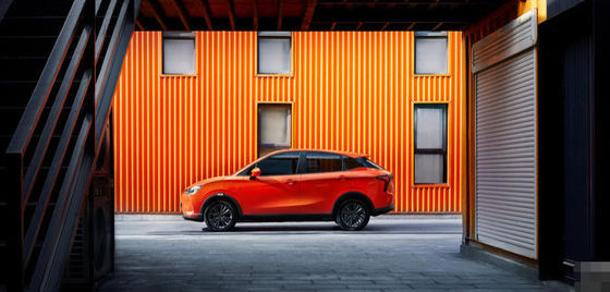 NETA V Pro Auto Krachtig Nieuw Klein Suv 2022 Autoelektrisch voertuig 301401KM van Hozon Zuivere Elektrische 5 Deuren 5 Zetels