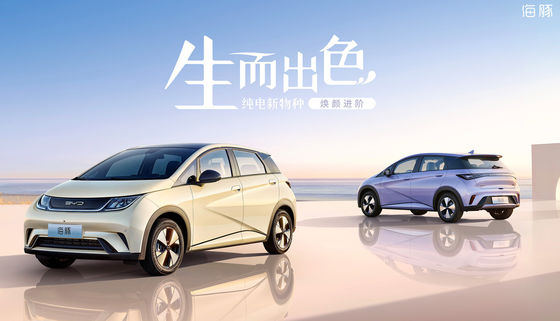 Zuiver Elektrisch Mini Byd Dolphin Ev 301405KM 5 Deuren 5 Zetels